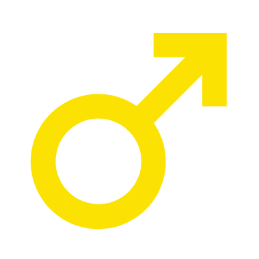 Developer