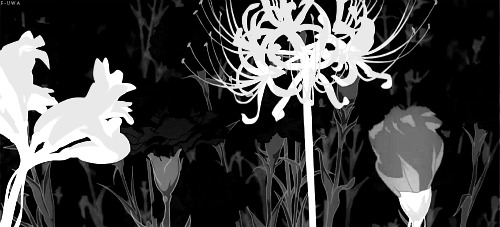Background GIF
