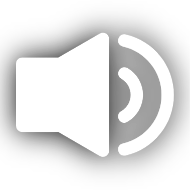 Volume Icon