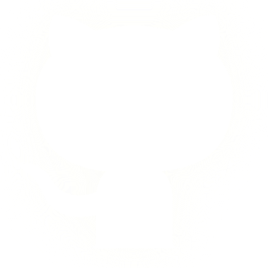 GitHub Logo